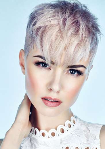 Elysium Collection at-Shellys-Bridgend